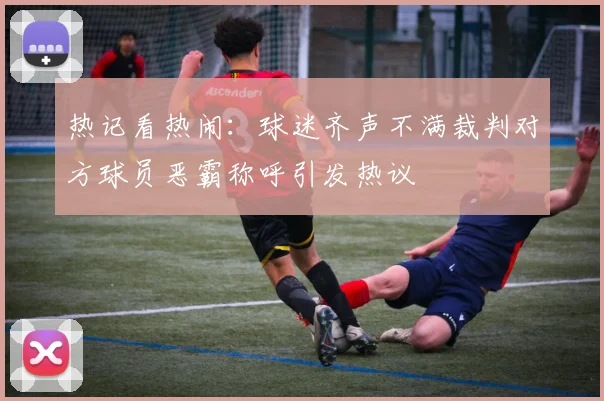 热记看热闹：球迷齐声不满裁判对方球员恶霸称呼引发热议